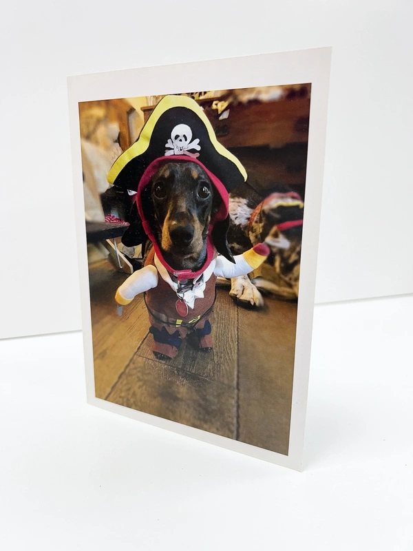  Printed Christmas Cards In Newbury Bekshire Cards Sausage Dog Cards